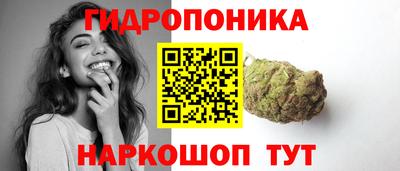 гашик Новодвинск