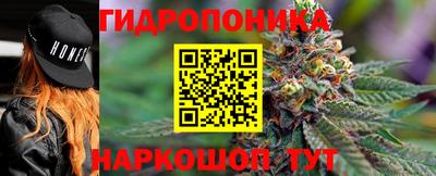 гашик Новодвинск