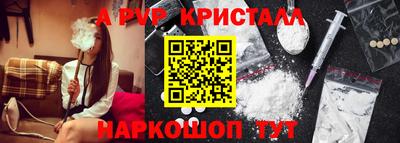 гашик Новодвинск