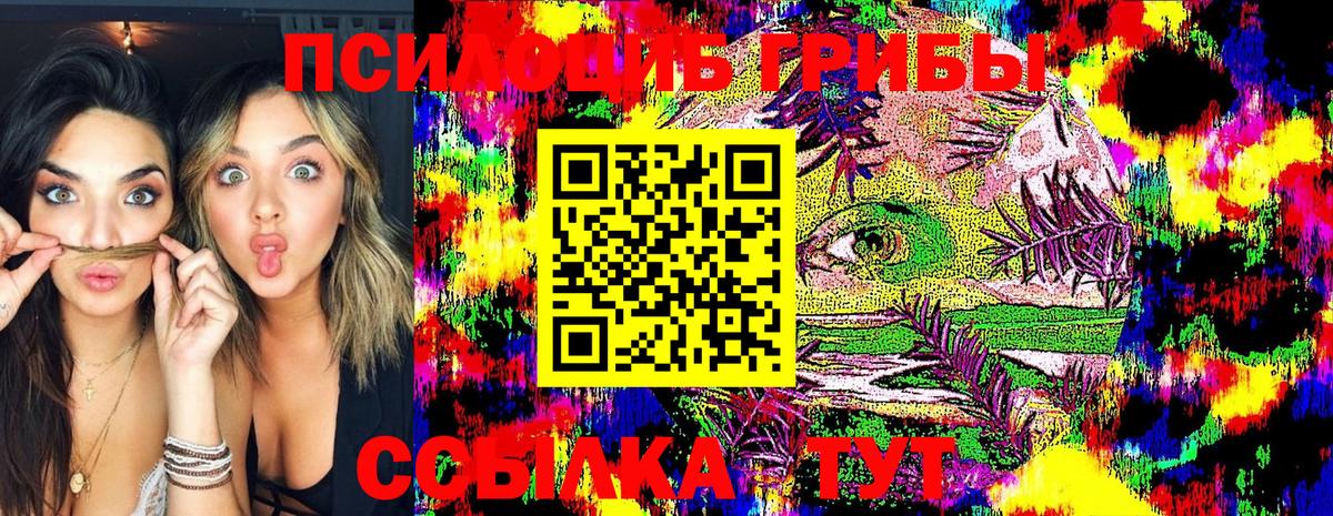 Унеча  Галлюциногенные грибы Cubensis  дарнет шоп  Вход с VPN 