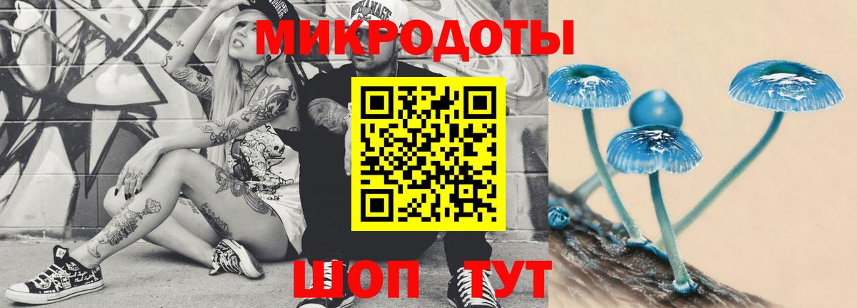 наркотики  Унеча  Галлюциногенные грибы Cubensis  Псилоцибиновые грибы Magic Shrooms 